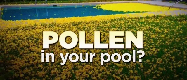 pollen in your swimming pool lafayette la