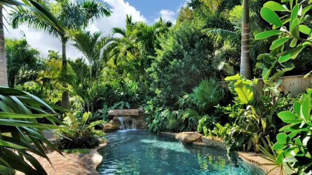 swimming pool with plants around it